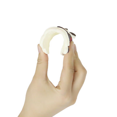 Buntes Baby personifiziertes Silikon Beißring mit Schaf-Pferd Dino Shape