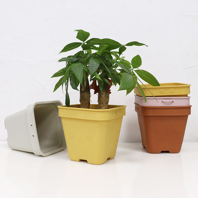 Multi Funktionssilikon-Blumen-Topf Eco freundlich mit kundengebundenem Logo