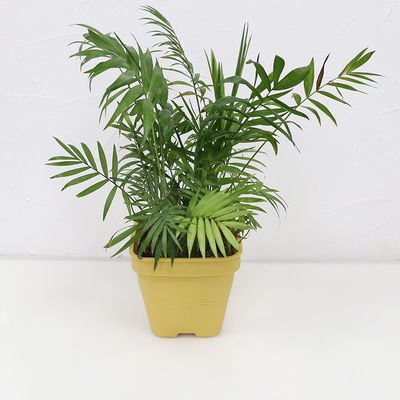 Multi Funktionssilikon-Blumen-Topf Eco freundlich mit kundengebundenem Logo