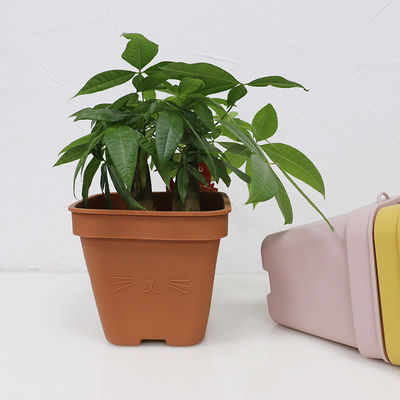 Multi Funktionssilikon-Blumen-Topf Eco freundlich mit kundengebundenem Logo
