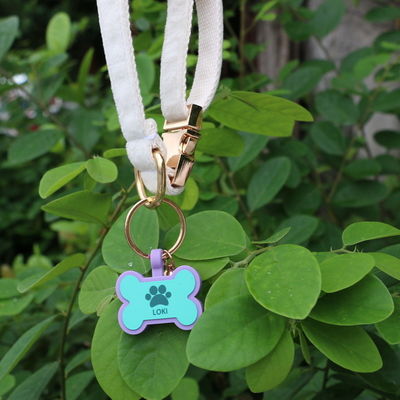 BPA-freie Silikon-Stille-Hunde-Tags Farbenfrohe Silikon-Hundehals-Tags zum Verkauf einzigartige Silikon-Hunde-ID-Tags Zubehör