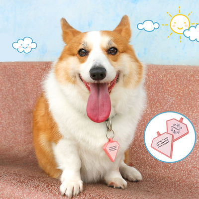 PAISEN Personalisierte kundenspezifische Hunde-Tags mit 3D-QR-Code Gravierungen Hunde-Katzenkragen Silikon-Haustier-Tag