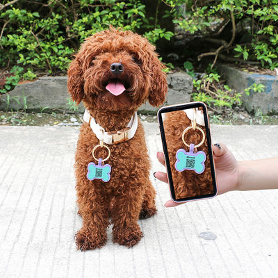 PAISEN Personalisierte kundenspezifische Hunde-Tags mit 3D-QR-Code Gravierungen Hunde-Katzenkragen Silikon-Haustier-Tag