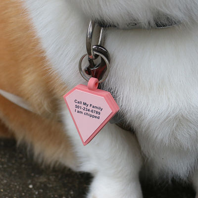 Großhandel niedriges MOQ Billig unterschiedliche Form viele Farben für Optionen Silikon leere Hunde-Tag Name ID-Tag