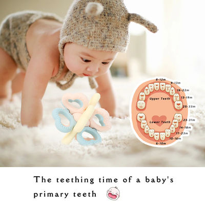 2025 Neuer kundenspezifischer Silikonring Weiches 3D-Kinderspielzeug Baby Rattel-Spielzeug BPA-freies Lebensmittel-Zahn-Spielzeug Schütteln Weiches Spielzeug-Zähne